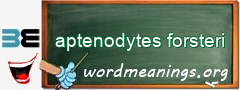 WordMeaning blackboard for aptenodytes forsteri